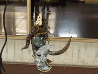fauno hierro